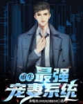 重生：最强宠妻系统
