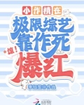 惊!小作精在极限综艺靠作死爆红 笔趣阁