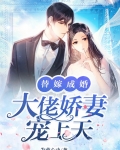 闪婚大佬娇妻宠上天全文免费阅读