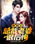 总裁离婚后悔了小说全文阅读