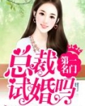 第一名门：总裁，试婚吗