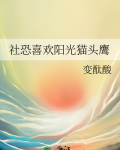 社恐喜欢阳光猫头鹰免费