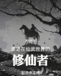 浪迹在仙武世界的修仙者黄
