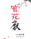 宫花厌书评