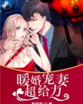 暖婚宠妻超给力免费阅读