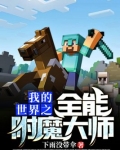 我的世界之全能附魔大师免费观看