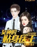 女神的贴身医王笔趣阁
