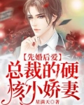 先婚后爱，总裁的硬核小娇妻