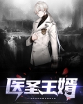 医圣王婿免费阅读