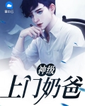 神级上门奶爸 小说