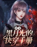 团宠黑月光的快穿手册 小说