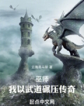 主角以巫师为主的小说