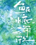 鱼在水底游了许久小说资源