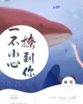 一不小心撩到你全本免费观看电视剧