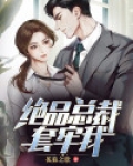 美女总裁的绝品高手 小说