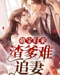 萌宝归来:渣爹难追妻