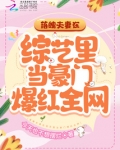 落魄夫妻在综艺里当豪门爆红全网全文 百度网盘