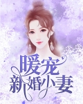 新婚不宠妻免费阅读全文