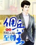 至尊佣兵王刘毅下载小说