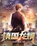镇国龙婿81集