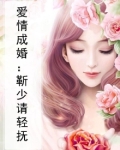 爱情成婚:靳少请轻抚免费阅读