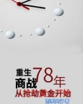 重生78,商战?从抢劫黄金开始