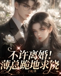 薄少,我们离婚吧