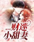 顾少蜜小甜妻