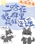 二哈在狼群里疯狂造谣74章
