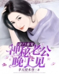 豪门神秘老公有点坏全文免费阅读