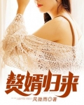赘婿归来短剧免费观看