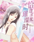 恰逢星光璀璨时TXT下载