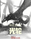 神印王座之暗光圣龙