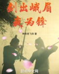 剑出峨眉我为锋