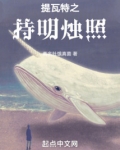 提瓦特第一c