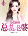 我和完美总裁老婆萧晨几个女主