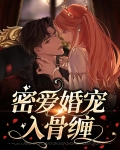 密爱宠婚天价老公缠上身 小说