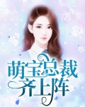有小萌宝的总裁电视剧