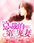 念凉凉总裁的第一宠妻