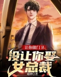 让你做门卫,没让你娶女总裁小说