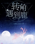 转角遇到鹿