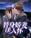 替身娇妻入怀宠百度