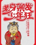 老身聊发少年狂txt书包
