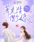 箫先生小说