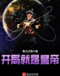 开局就是皇子