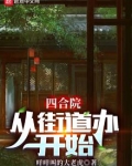 四合院从街道办开始TXT