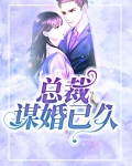 婚谋已久神秘总裁有点凶