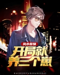 小说风水女婿
