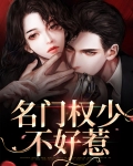 名门煞妻不好惹