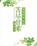 重生之苦尽甘来讲的什么内容
